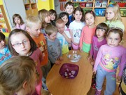 Tvoření, bádání, experimenty a pokusy